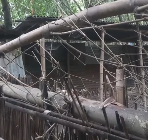ফরিদপুরে পৌরসভার দেওয়া পার্ক নির্মাণে স্থানীয় বাধা, কাজ, বিকেল মার্কেট ব্যবহারকারী!